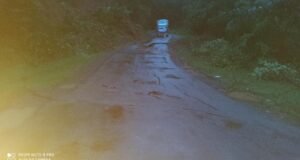 ဂွနဲ့ ငသိုင်းချောင်းဆက်သွယ်ထားတဲ့ ရိုးလမ်းတလျှောက် မြေပြိုမှုတွေ ရှိနေ