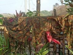 ကုလားပြင်(ရတနာမြိုင်)ကျေးရွာမှာ စစ်ကောင်စီတပ်က အိမ်းမွေးတိရိစ္ဆာန်တွေ အပါအဝင် အိမ်တွေကိုဖောက်ထွင်းခိုးယူတာတွေ နေ့စဉ်လုပ်နေ