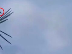 ááąáŹááşááŻááşááźááŻáˇáááş áĄáá˝ááşá¸á áááŻá¸áááŹááŤáááťáąáŹááşá¸ááᯠá
á
áşááąáŹááşá
áŽááąááźáąáŹááşá¸áááŻááşáááŻááş