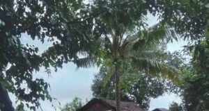 Emergency Aid Needed for Flood-Affected Villages in Minbya