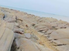 ရမ်းဗြဲမြို့ စကုကျွန်းကမ်းခြေမှာ အမည်မသိ အမျိုးသား အလောင်း ၂၀ တွေ့ရှိ