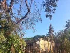 ááśáá˝á˛á ááźáśáˇáááŻááşááąá¸ááŤááŽááŻáśááᯠá
á
áşááąáŹááşá
áŽá ááąááźáąáŹááşá¸áá˛áˇ ááŻáśá¸ááźá˛áááŻáááŻááşááŹááźáąáŹááˇáş áááąá¸áááşáá
áşáŚá¸áááşááŹá