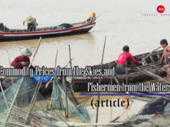 Commodity Prices from the Skies and Fishermen from the Waters