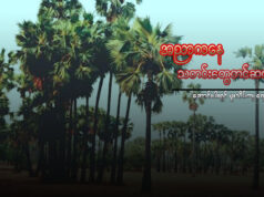 အညာကနေ သတင်းတွေ တင်ဆက်နေသူ