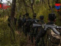 ááŽá¸ááááşááźááŻáˇááᯠááááşá¸áááŻááşáááˇáş PDA-Tedimáá˛áˇ áĄá
áŽáĄá
ááşááᯠPDF Zolandáááşáááś