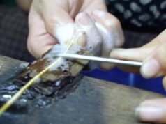 áááşááŻááşáážáŹ áá˝ážáąáááşá¸ááááşááŻááşáááşá¸ááŻááşáááŻááş áá˛áˇ ááááŻááşáá˝áąááᯠá
á
áşááąáŹááşá
áŽá á
áŹáááşá¸ááąáŹááşáá°ááą