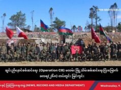 ဖလမ်းမြို့သိမ်းတိုက်ပွဲကို အာရက္ခတပ်တော်က စစ်လက်နက် နဲ့ စစ်ရေး အကြံပေးတာလုပ်ဆောင်ပေးခဲ့