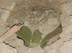 အပစ်ရပ်ကာလမှာ လေကြောင်းတိုက်ခိုက်မှု လုပ်တာဟာ ဂျနီဗာ စာချုပ်ကို ချိုးဖောက်တာလို့ HDCO ပြောဆို