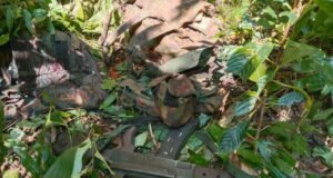 ááąá¸áááŹáááŻááşáá˝á˛áĄáá˝ááşá¸ á
á
áşááąáŹááşá
áŽáááşááŹá¸ áá áŚá¸ ááąááŻáśá¸áᏠáá áŚá¸áááşá¸ááŽá¸ááááá˛áˇáááşáááŻáˇ PRA – Magway ááŻááşááźááş