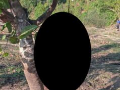 áááşá¸ááźáŹá¸ áĄááášáááźáŻááťááˇáşáááşááźááşáážáŻááᯠáĄááźáŽá¸ááŹá¸ááŻáśá¸ááźá
áşáááşááąá¸áááŻáˇ áĄáááşáááş áĄáá˝á˛áˇáĄá
ááşá¸ áá áá˝á˛áˇá ááąáŹááşá¸áááŻ