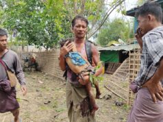 áááąáˇááąáŹááş áá˝ááşá¸áááąáá˝áŹááąáŹááşá¸ ááťáąá¸áá˝áŹ ááąááźáąáŹááşá¸áááŻááşáááŻááşááśááážáŻ ááąááŻáśá¸áá° áá áŚá¸ áá˛áˇ áááşááŹááá° áá áááážáááŹááą