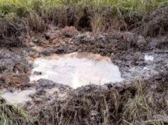 ááťáąáŹááşááźá°ááᯠá
á
áşááąáŹááşá
ᎠááŻáśá¸ááźá˛áááŻáˇ áĄááťááŻá¸ááŹá¸ á áŚá¸áááşááŹá