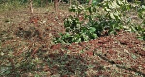 စစ်ကောင်စီက ရခိုင်ကမြို့နယ် ၁၄ ခုကို စစ်အုပ်ချုပ်ရေး ကြေညာပြီးနောက် လေကြောင်း နဲ့ လက်နက်ကြီးပစ်ခတ်တိုက်ခိုက်မှုတွေရှိလာ