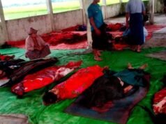 အညွန့်တလူလူတက်နေတဲ့ ရခိုင်မျိုးဆက်သစ်လူငယ်တွေအပေါ် ပြစ်မှုကျူး လွန်သူကို တရားမျှတမှုရအောင်လုပ်ဆောင်မယ်လို့ဆို