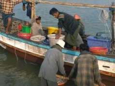 ပေါက်တောက ဒေသခံရေလုပ်သား ၇ ဦးကို စကမ က ဖမ်းဆီးပြီးနောက် ကမ်းဝေးငါးဖမ်းထွက်တာ မလုပ်ဖို့ အေအေ သတိပေး