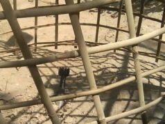 ရခိုင်ကဒေသခံတွေ မိုင်း နဲ့ စစ်ကျန်လက်နက် အန္တရာယ်ကြောင့် လွတ်လပ်စွာ ရှာဖွယ်စားသောက်ခွင့်မရဖြစ်နေ