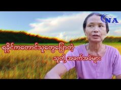 ရခိုင်ကတောင်သူတွေ ပြောတဲ့ သူတို့ အခက်အခဲများ