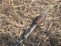 ဘူးသီးတောင်က လူမျိုးတုံးသတ်ဖြတ်ခံခဲ့ရတဲ့ရွာလို့ လူသိများတဲ့ ထန်းရှောက်ခံရွာအနီးမှာ စစ်ကျန်လက်နက်ပေါက်ကွဲလို့ မွတ်ဆလင် ၂ ဦးသေဆုံး