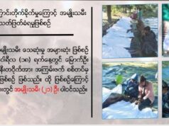 စစ်အုပ်စု သတ်ဖြတ်မှုကြောင့် တစ်နှစ်အတွင်းအမျိုးသမီး ၇၉၂ ဦး သေဆုံးခဲ့