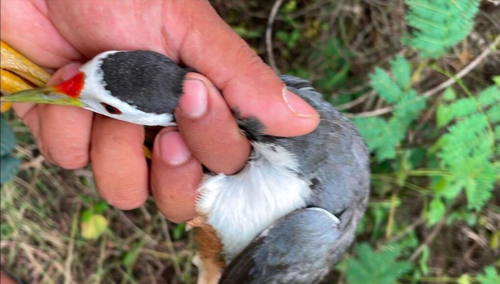 ááááŻááşáážáŹ ááąáŹáááŻááşá¸ááááá
ášááŹááşáá˝áąááᯠáááşá¸ááŽá¸ááąáŹááşá¸ááťááŹáááŻááşáááŻáˇ ADFEM ááŻááşááźááş áááááąá¸