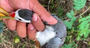 ááááŻááşáážáŹ ááąáŹáááŻááşá¸ááááá
ášááŹááşáá˝áąááᯠáááşá¸ááŽá¸ááąáŹááşá¸ááťááŹáááŻááşáááŻáˇ ADFEM ááŻááşááźááş áááááąá¸