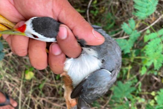 ááááŻááşáážáŹ ááąáŹáááŻááşá¸ááááá
ášááŹááşáá˝áąááᯠáááşá¸ááŽá¸ááąáŹááşá¸ááťááŹáááŻááşáááŻáˇ ADFEM ááŻááşááźááş áááááąá¸