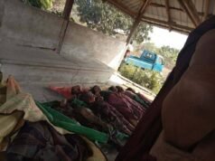 ပုဏ္ဏားကျွန်း ယိုးငူရွာ ဗုံးကြဲခံရမှုအပြစ်မဲ့အရပ်သား ၁၁ ဦးသေဆုံးကာ ၈ ဦးထက်မနည်းဒဏ်ရာရ